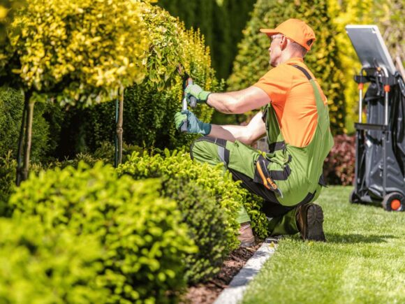 Garden & Landscape